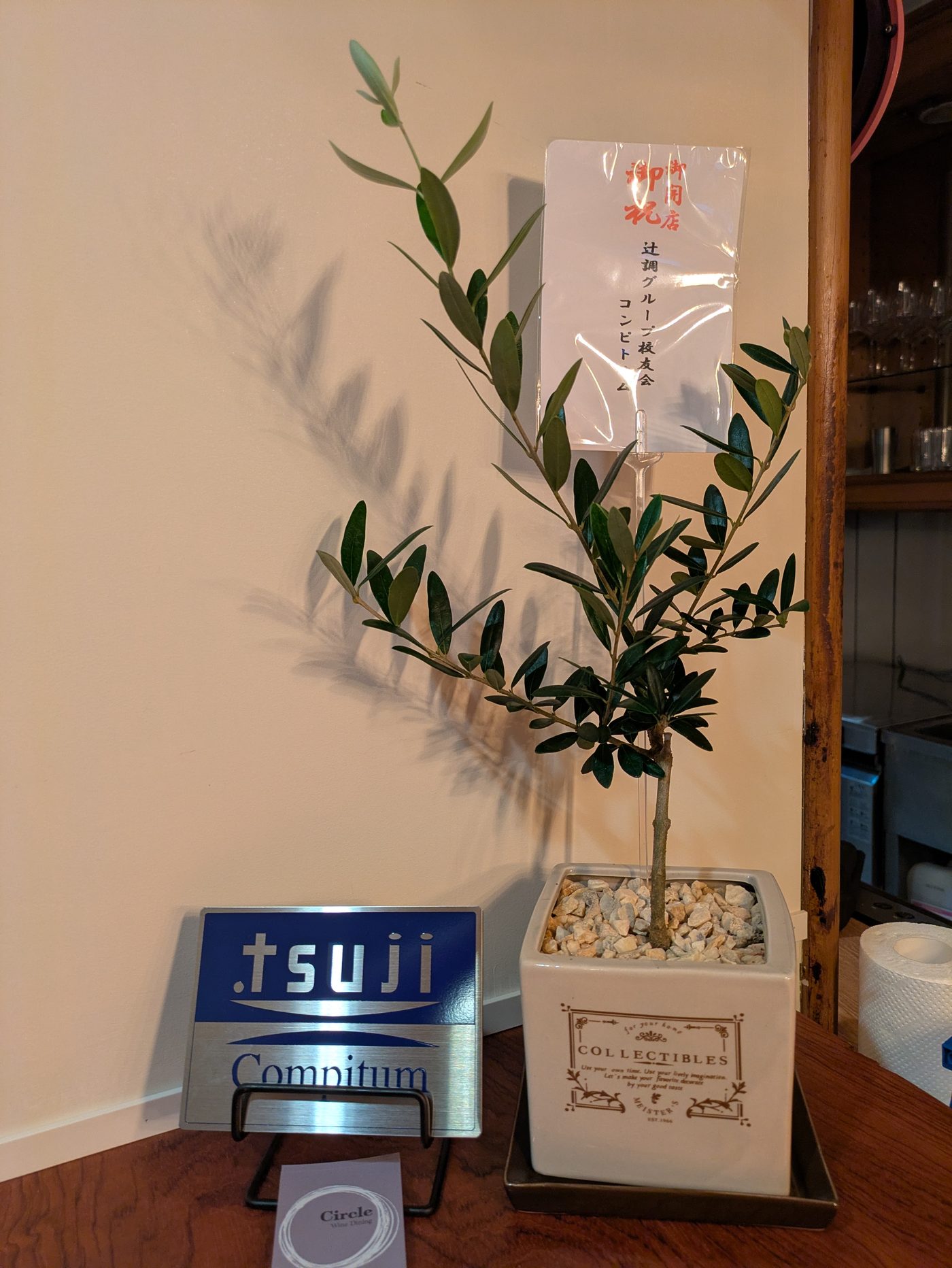 開店祝いのオリーブとCircleのショップカード